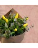 Yellow Tulip Bouquet